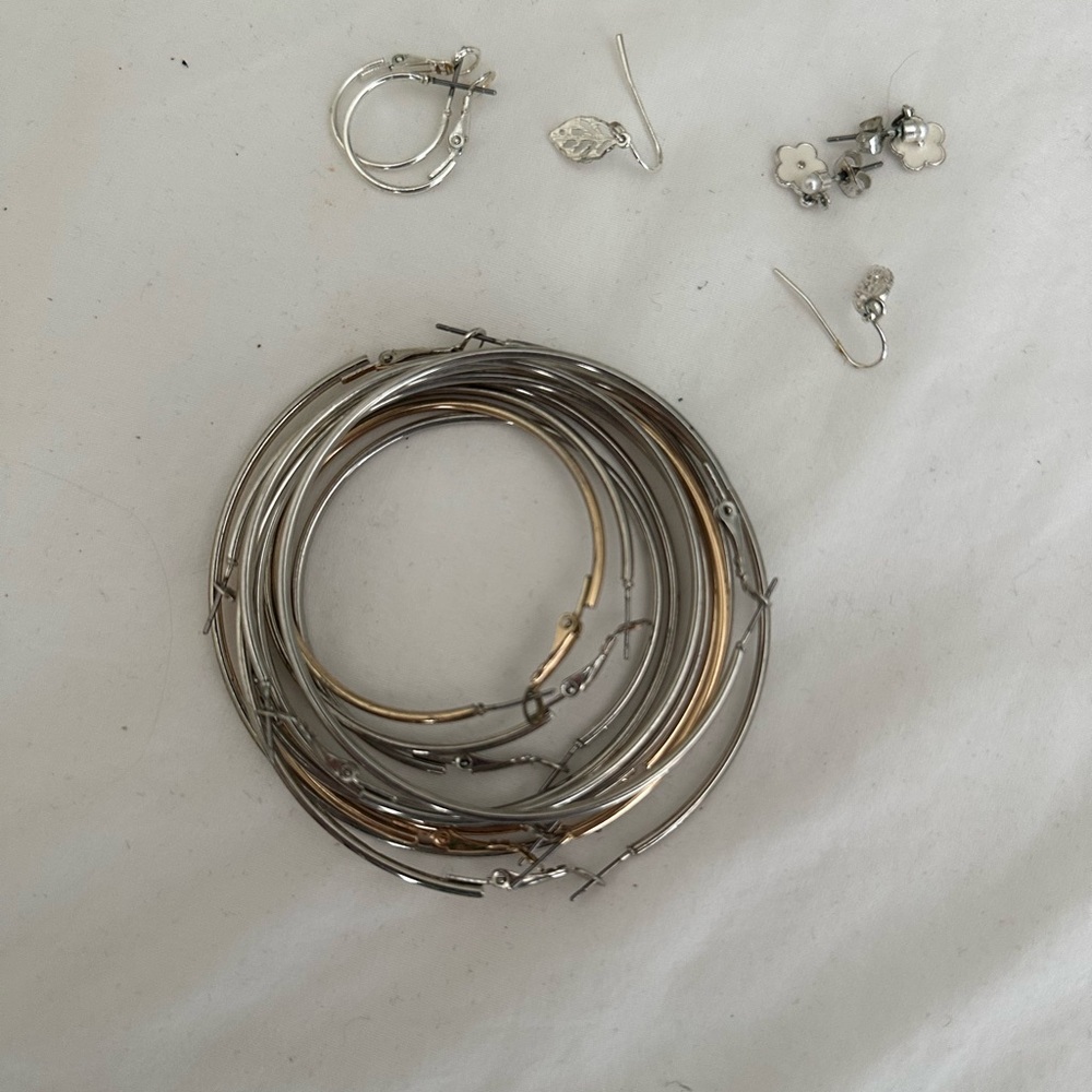Earrings